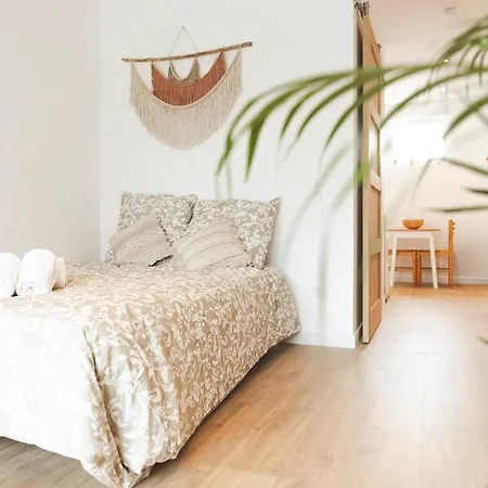 Le Nomada - Magnifique Neuf! * Tarbes