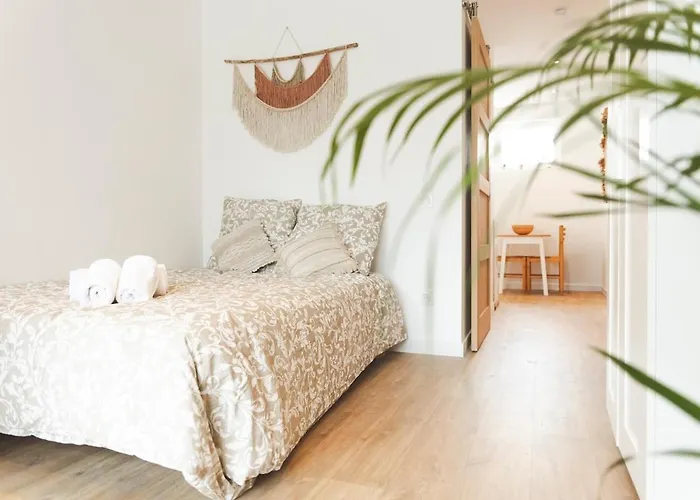 Le Nomada - Magnifique Neuf! * 타르브